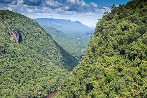 Looking down the Kaieteur Valley, below the Falls, Guyana